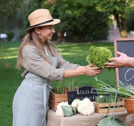Photo of Man choosing fresh vegetables from stall at farmer's market, closeup