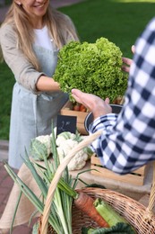 Photo of Man choosing fresh vegetables from stall at farmer's market, closeup