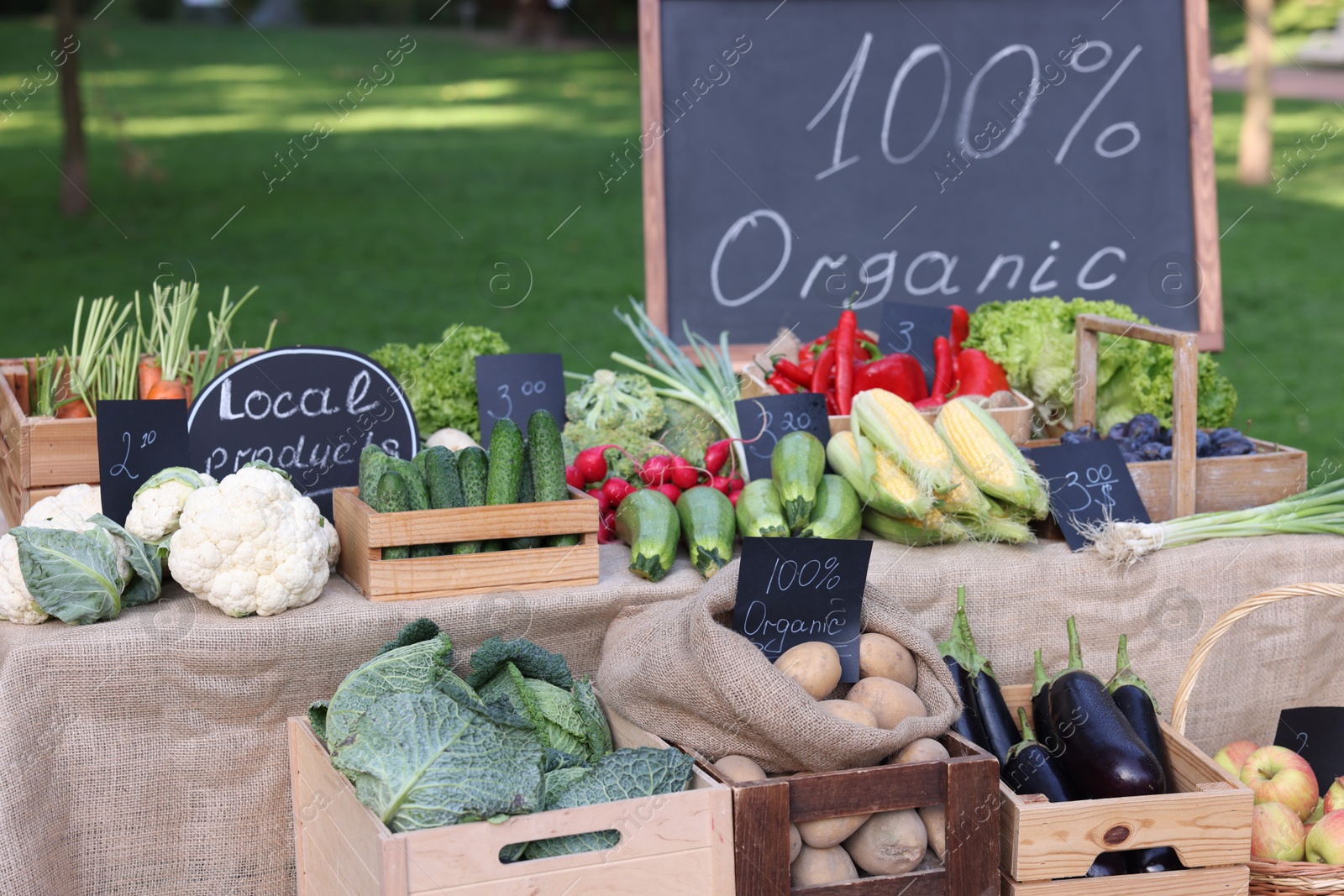 Photo of Many different vegetables on stall at farmer's market