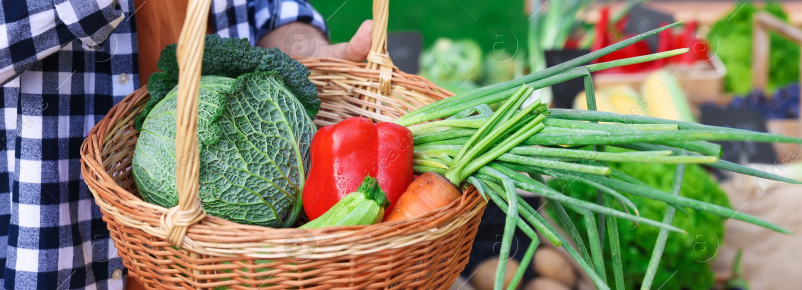 Photo of Man with different vegetables in wicker basket at farmer's market, closeup