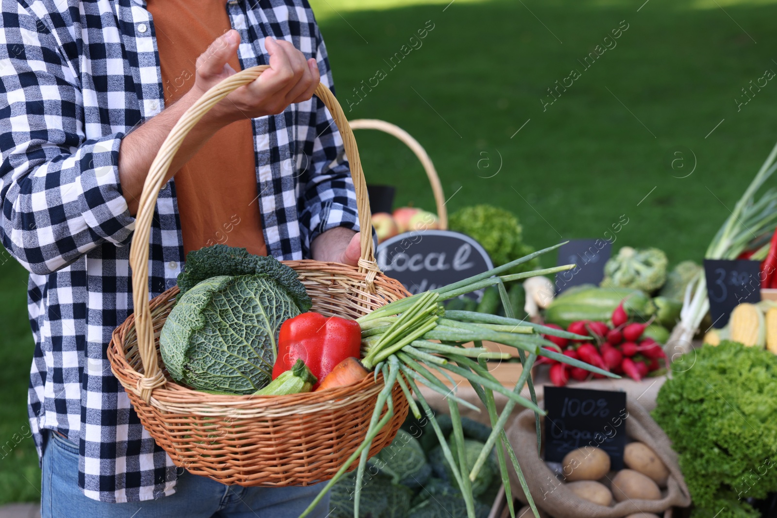 Photo of Man with different vegetables in wicker basket at farmer's market, closeup