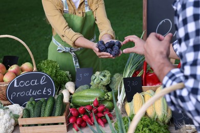 Photo of Man choosing fresh plums from stall with vegetables at farmer's market, closeup