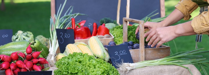 Photo of Farmer near stall with plums and different fresh vegetables at market, closeup