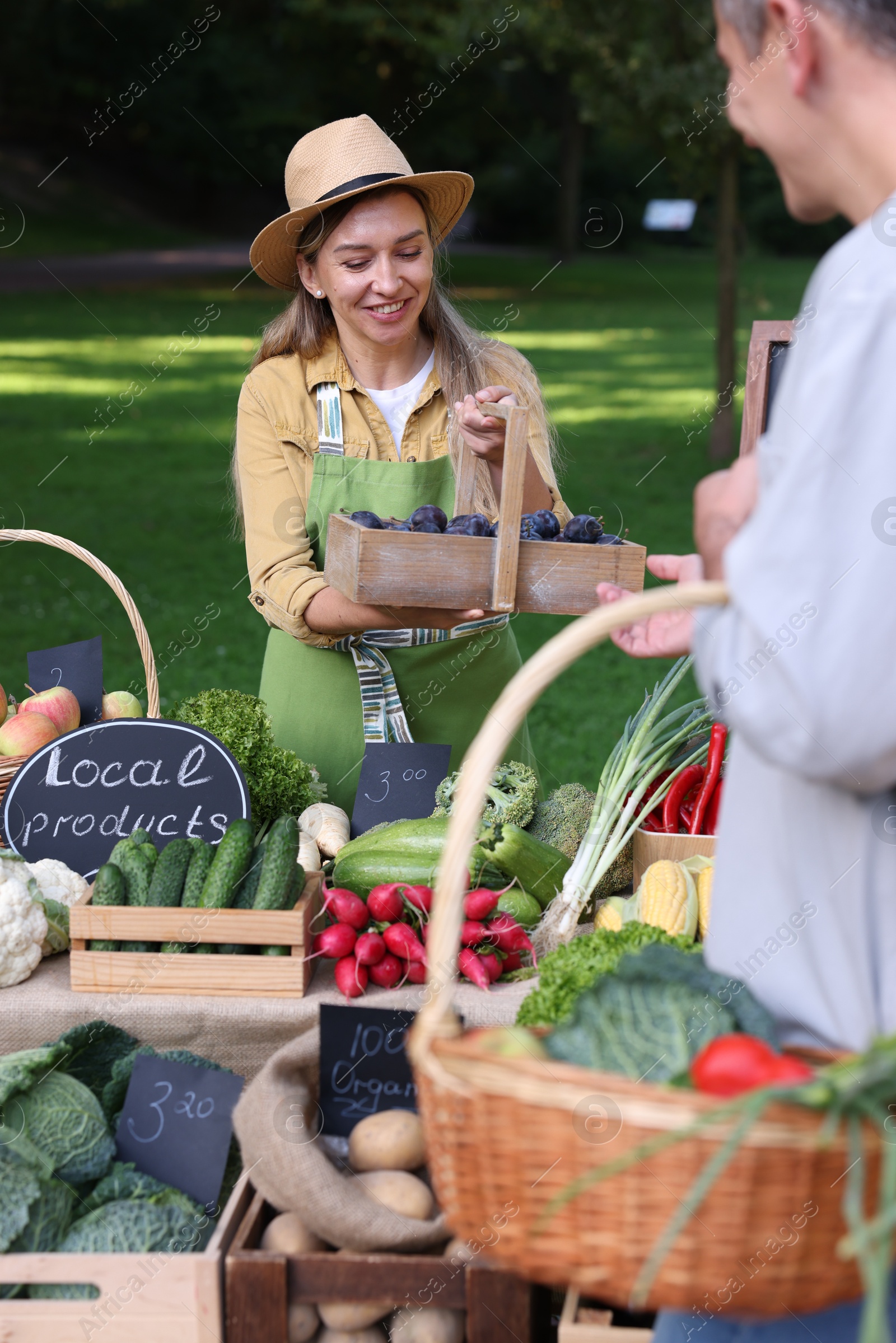 Photo of Man choosing fresh vegetables and plums from stall at farmer's market