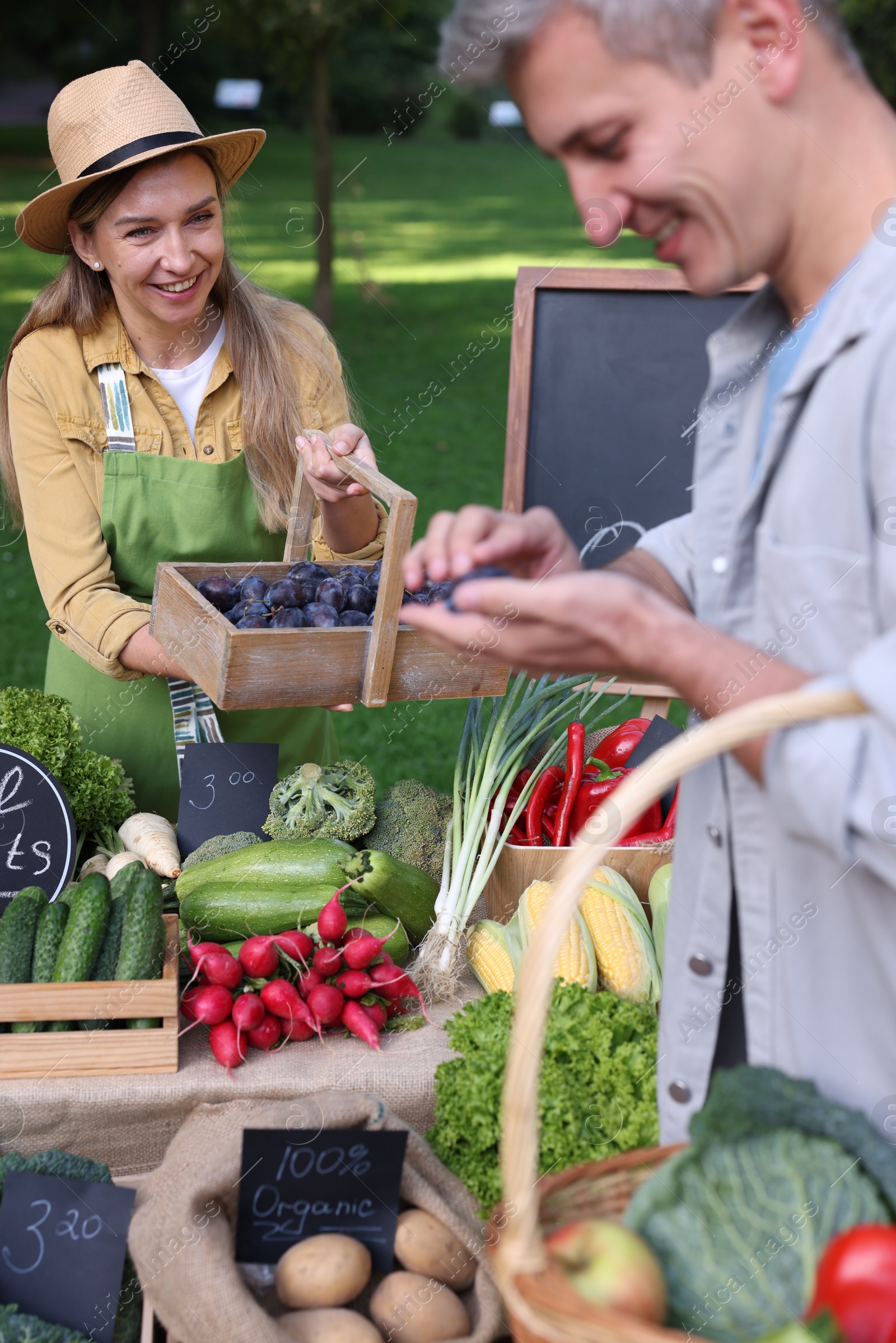 Photo of Man choosing fresh vegetables and plums from stall at farmer's market