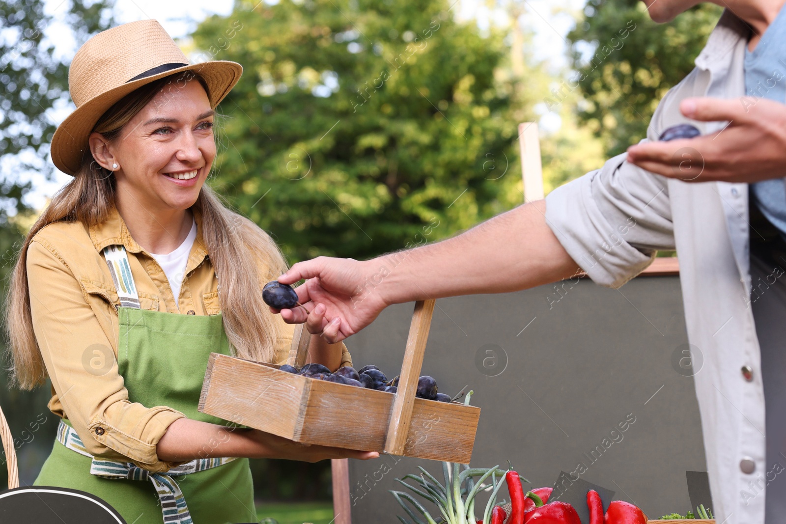 Photo of Man choosing fresh vegetables and plums from stall at farmer's market, closeup