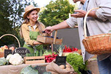Photo of Man choosing fresh vegetables and plums from stall at farmer's market, closeup
