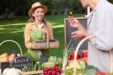 Photo of Man choosing fresh vegetables and plums from stall at farmer's market, closeup