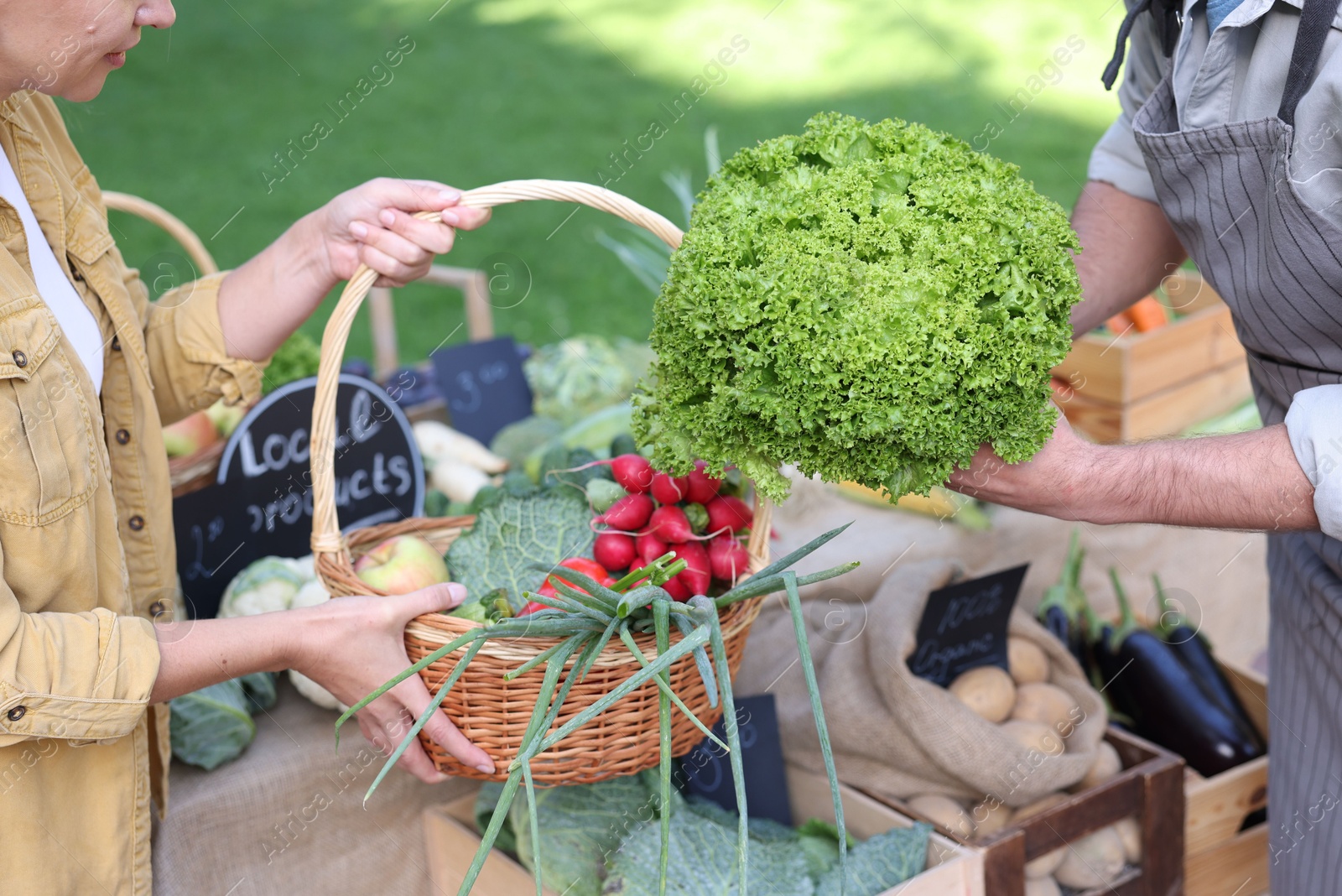 Photo of Woman choosing fresh vegetables from stall at farmer's market, closeup