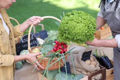 Photo of Woman choosing fresh vegetables from stall at farmer's market, closeup