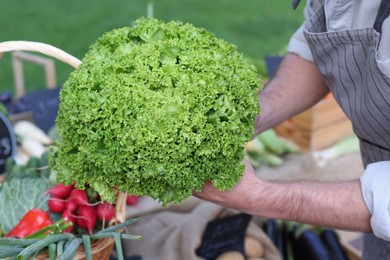 Photo of Farmer with lettuce near stall at market, closeup