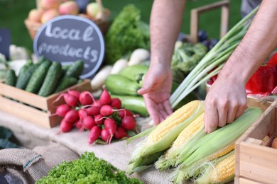 Photo of Farmer near stall with different fresh vegetables at market, closeup
