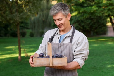 Photo of Happy farmer with basket of plums at market