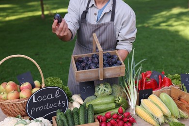 Photo of Farmer with basket of plums near stall with different fresh vegetables at market, closeup