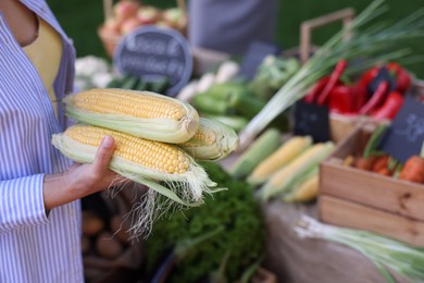 Photo of Woman choosing fresh vegetables from stall at farmer's market, closeup