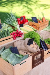 Photo of Many different vegetables on stall at farmer's market, closeup