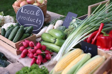 Photo of Many different vegetables on stall at farmer's market, closeup
