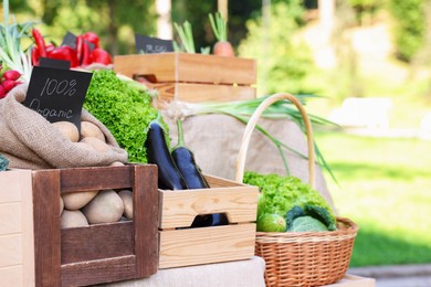 Photo of Many different vegetables on stall at farmer's market, closeup