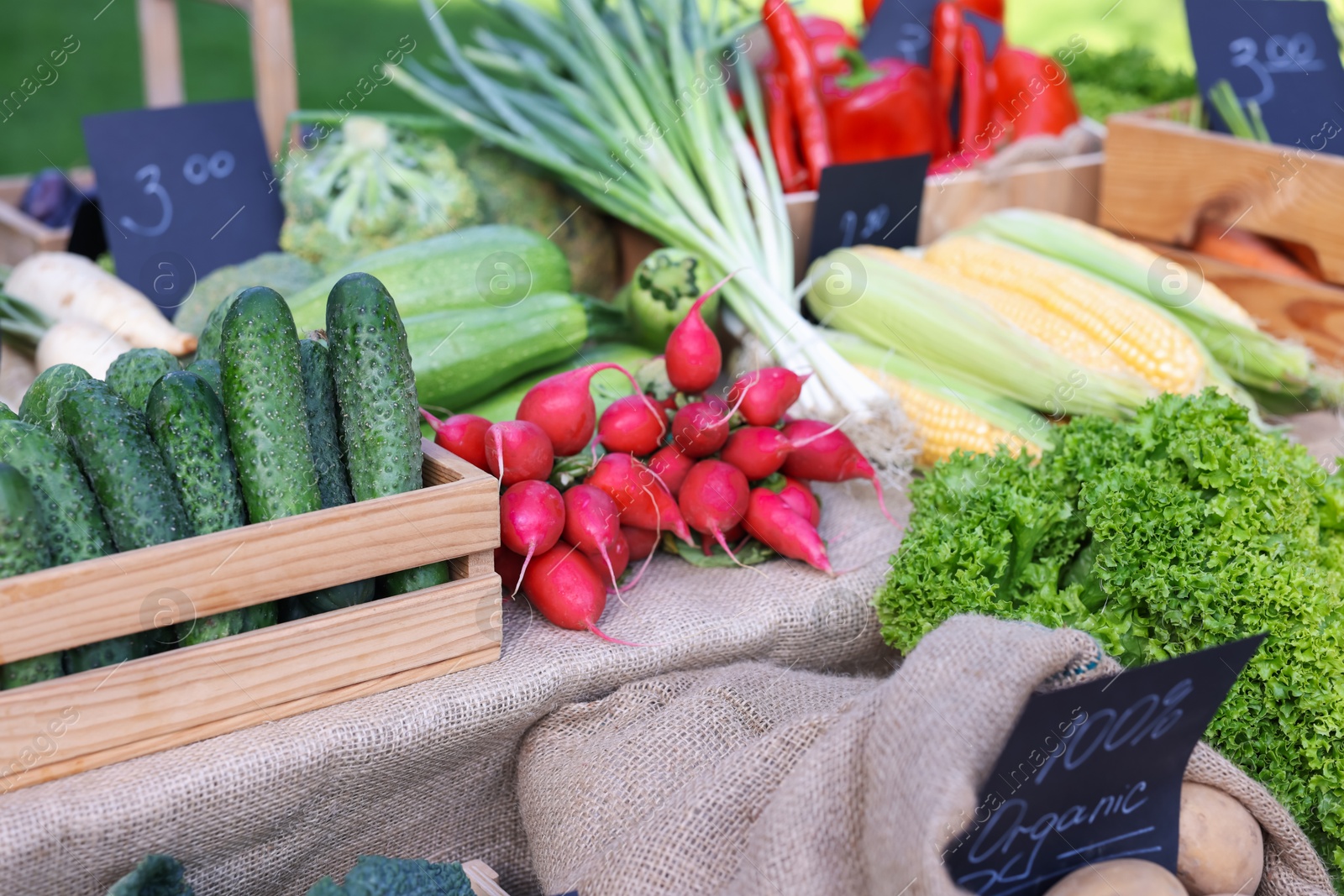 Photo of Many different vegetables on stall at farmer's market, closeup