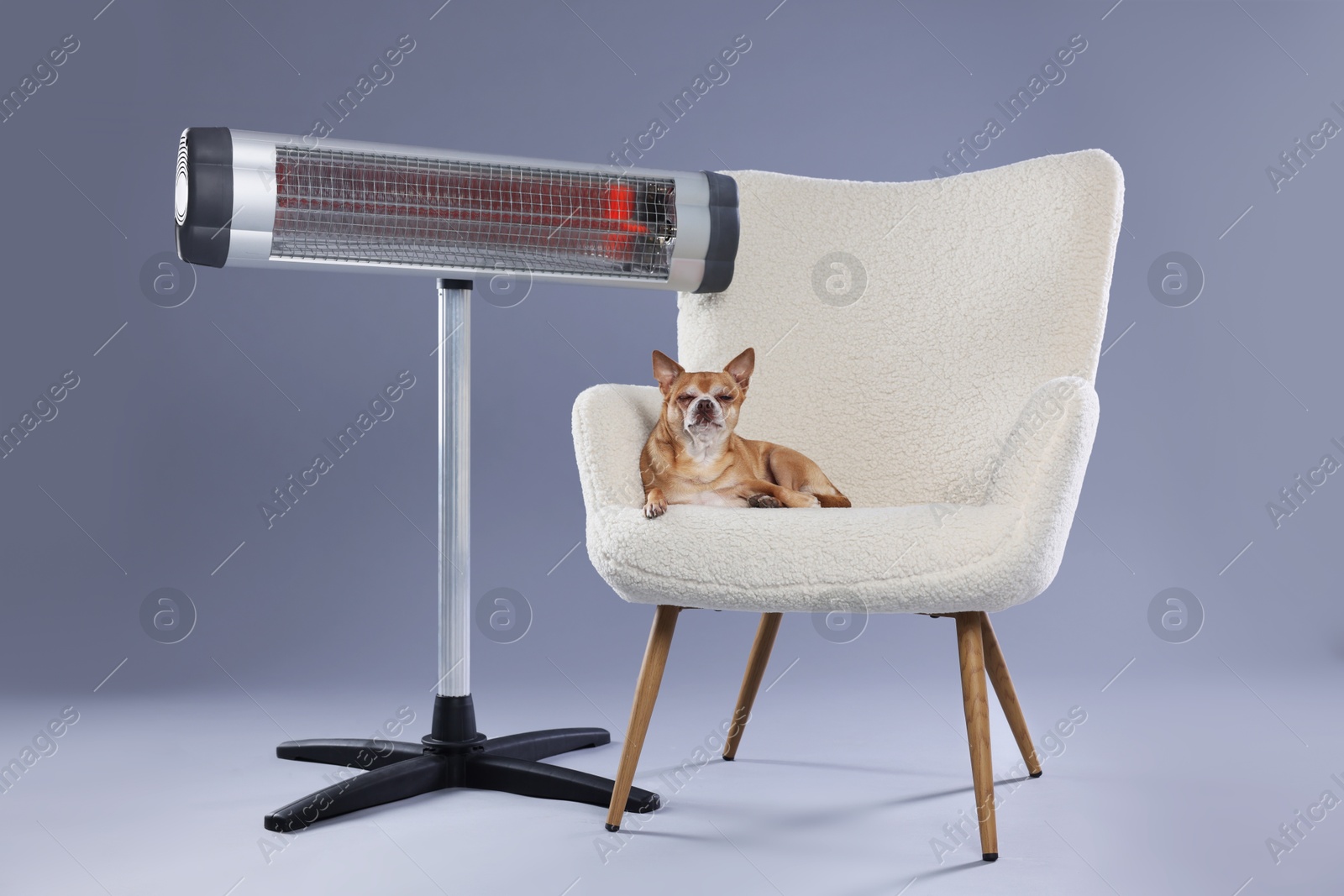 Photo of Cute little dog on armchair near electric heater against grey background