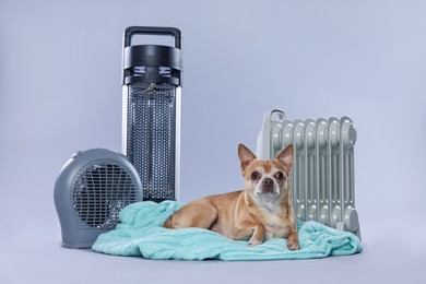 Photo of Cute little dog on blanket near electric heaters against grey background