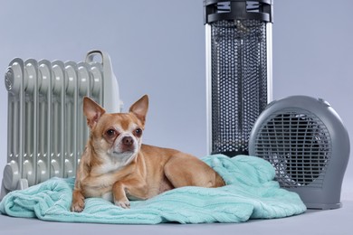 Photo of Cute little dog on blanket near electric heaters against grey background