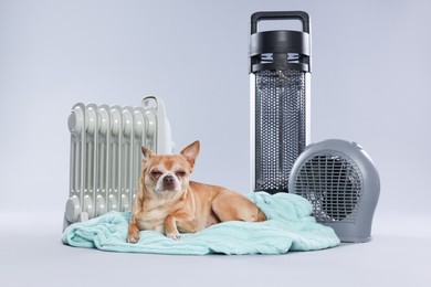 Photo of Cute little dog on blanket near electric heaters against grey background