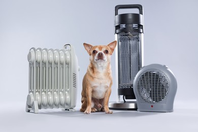 Photo of Cute little dog near electric heaters on grey background