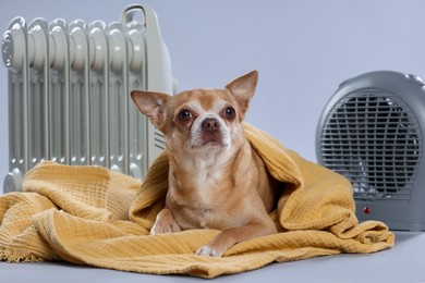 Photo of Cute little dog wrapped in blanket near electric heaters on grey background