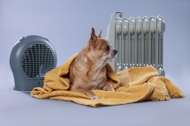 Photo of Cute little dog wrapped in blanket near electric heaters on grey background