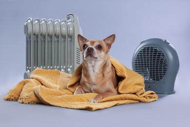 Photo of Cute little dog wrapped in blanket near electric heaters on grey background