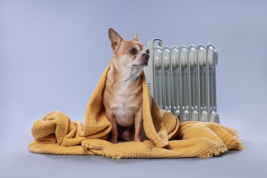 Photo of Cute little dog wrapped in blanket near electric heater on grey background