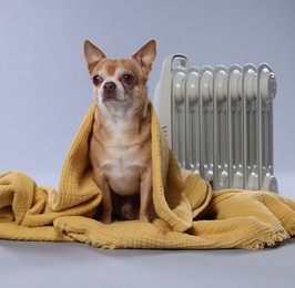 Photo of Cute little dog wrapped in blanket near electric heater on grey background