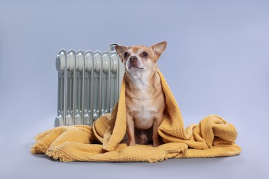 Photo of Cute little dog wrapped in blanket near electric heater on grey background