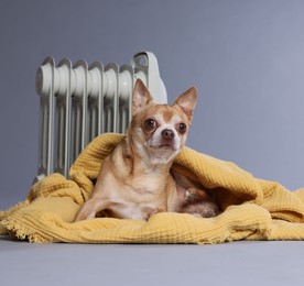 Photo of Cute little dog wrapped in blanket near electric heater on grey background