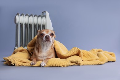 Photo of Cute little dog wrapped in blanket near electric heater on grey background