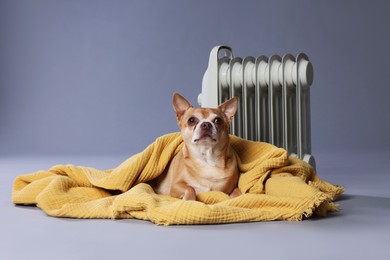 Photo of Cute little dog wrapped in blanket near electric heater on grey background