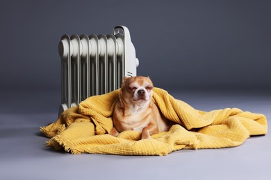 Photo of Cute little dog wrapped in blanket near electric heater on grey background