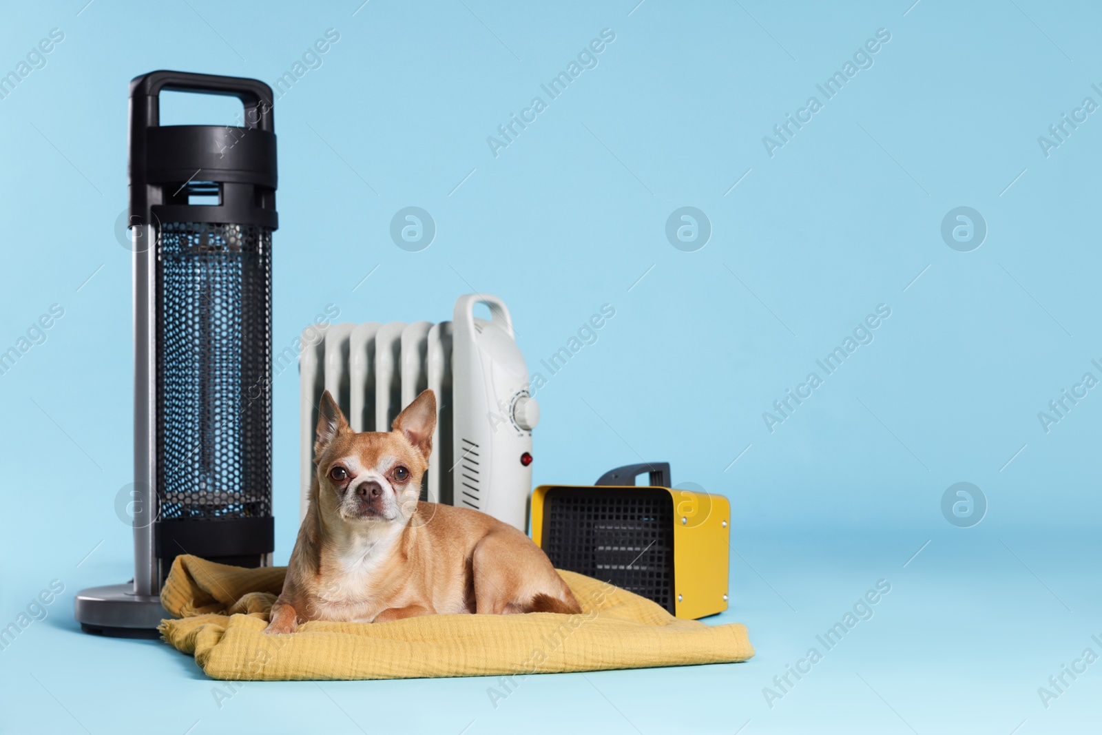 Photo of Cute little dog on blanket near electric heaters against light blue background, space for text