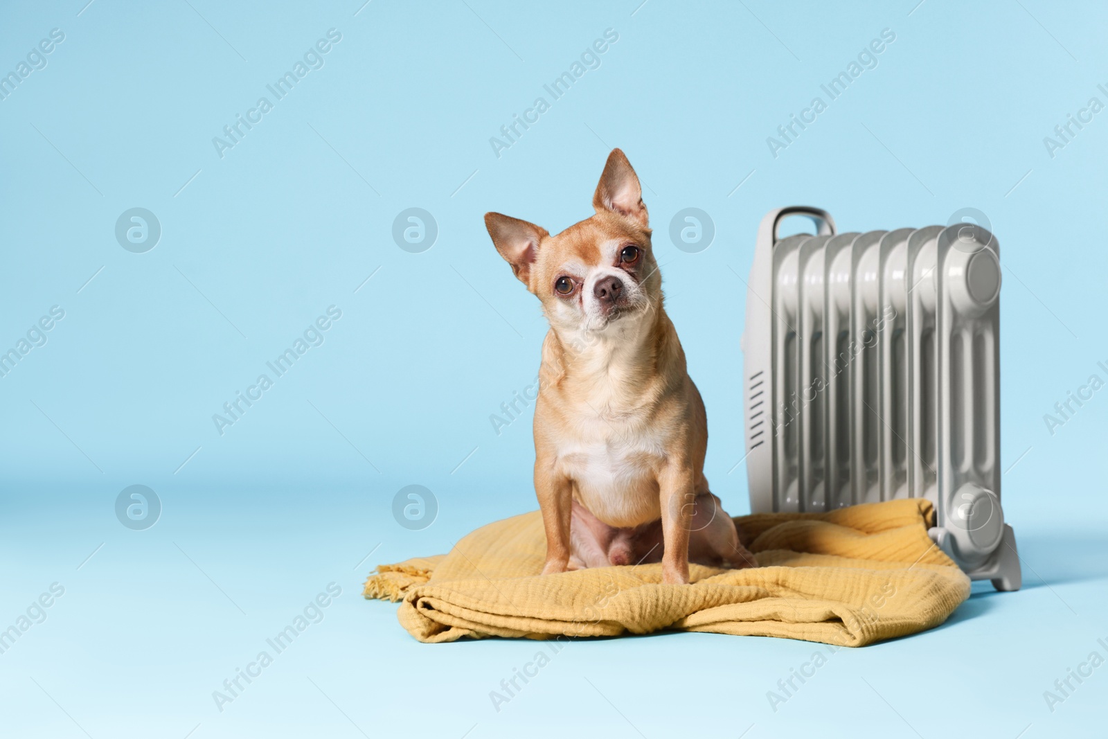 Photo of Cute little dog on blanket near electric heater against light blue background, space for text