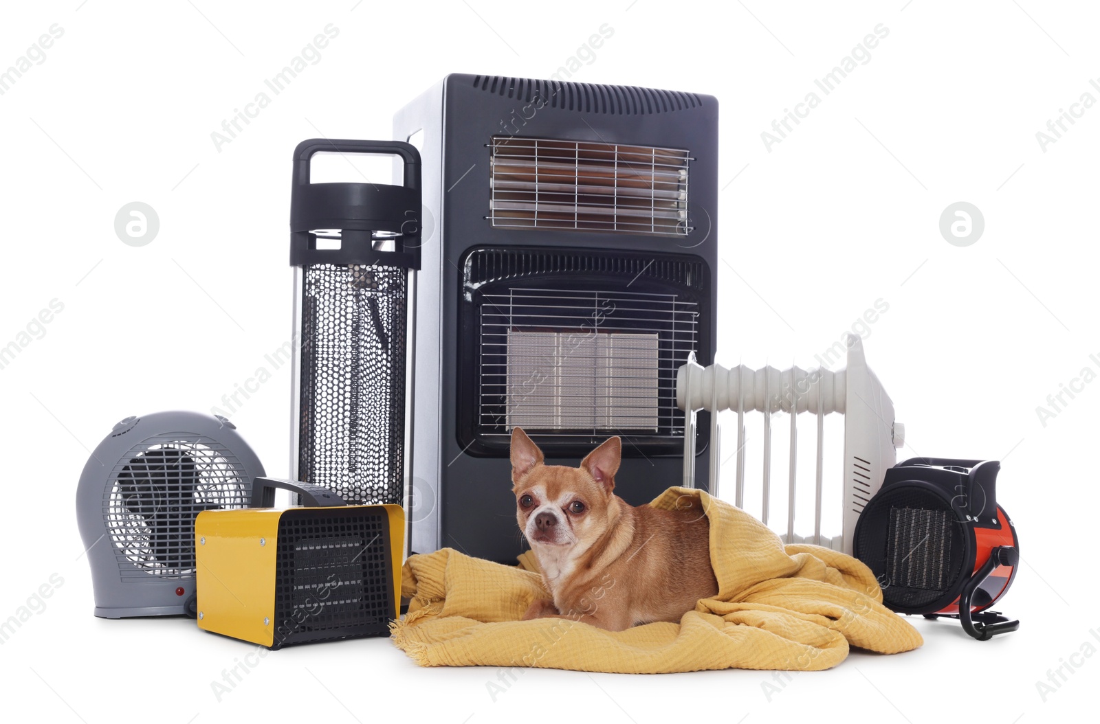 Photo of Cute little dog on blanket near electric heaters against white background
