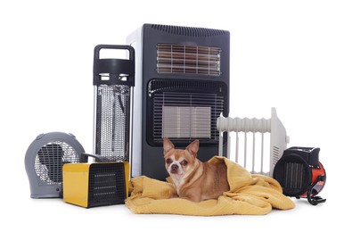 Photo of Cute little dog on blanket near electric heaters against white background