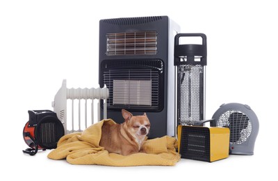 Photo of Cute little dog on blanket near electric heaters against white background