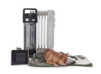 Photo of Cute little dog on blanket near electric heaters against white background