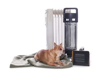 Photo of Cute little dog on blanket near electric heaters against white background