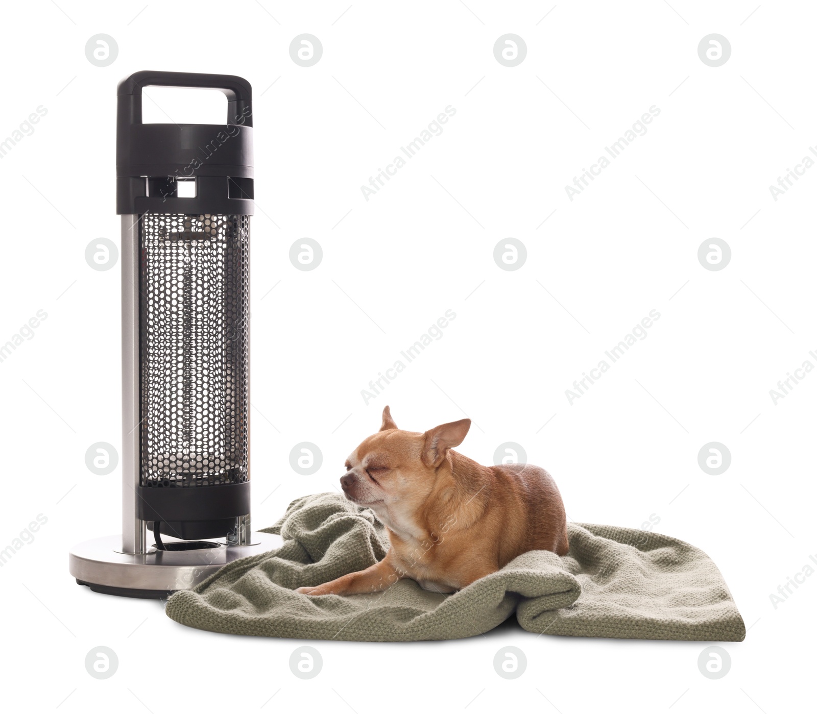 Photo of Cute little dog on blanket near electric heater against white background