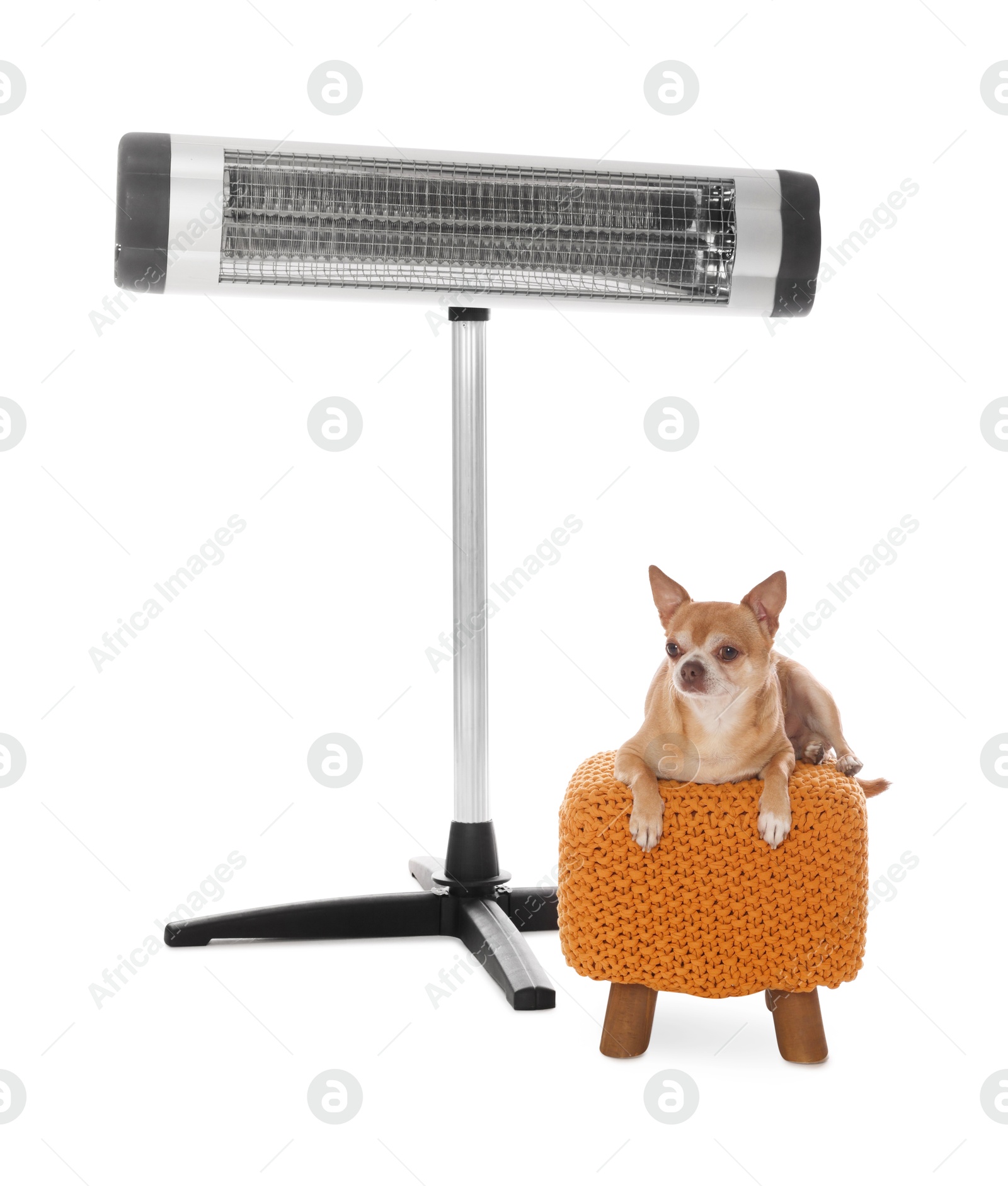 Photo of Cute little dog on pouf near electric heater against white background