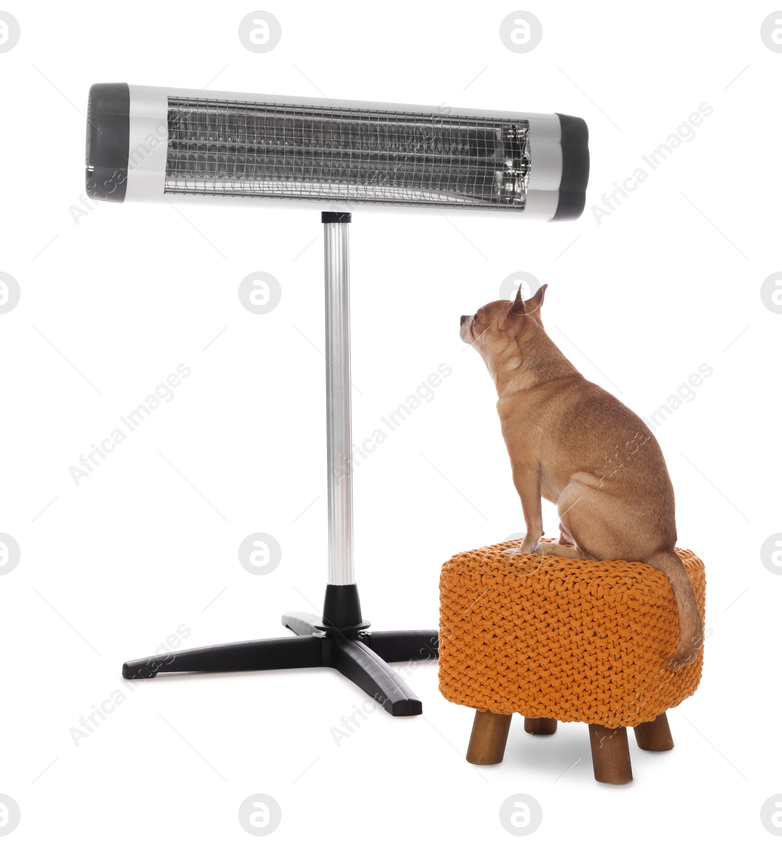Photo of Cute little dog on pouf near electric heater against white background