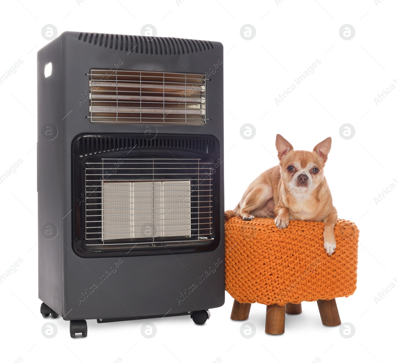 Photo of Cute little dog on pouf near electric heater against white background