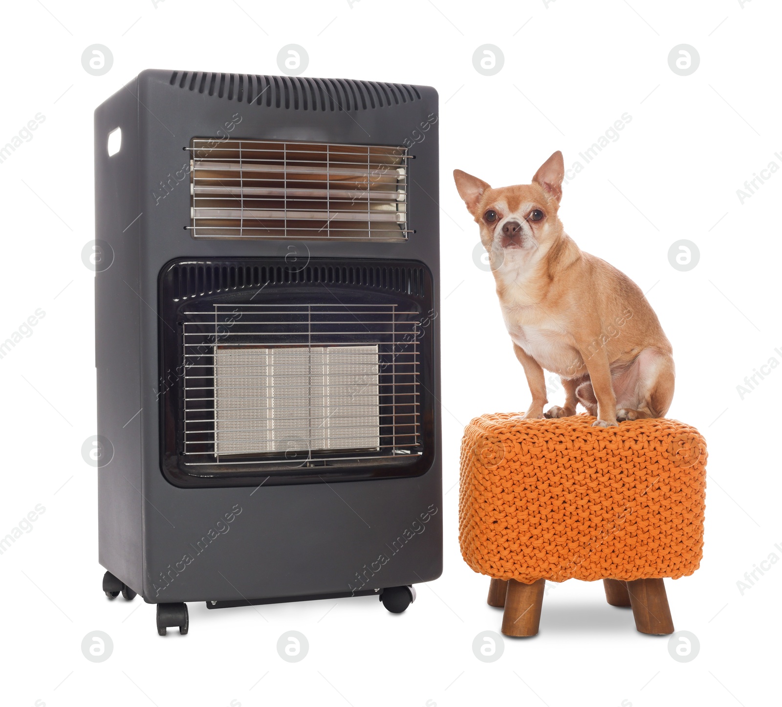 Photo of Cute little dog on pouf near electric heater against white background